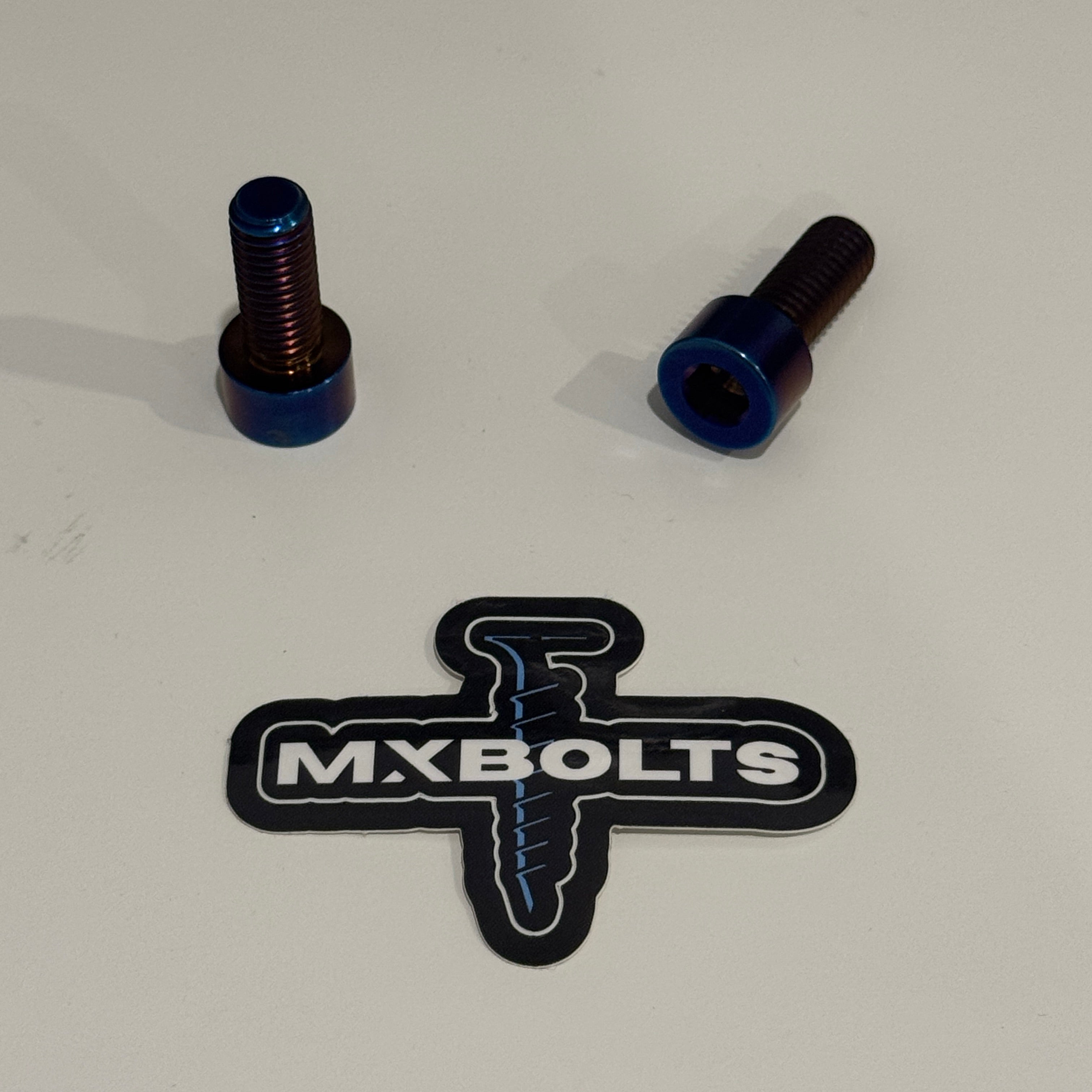 Ultra Bee Brake Mount Titanium Bolts